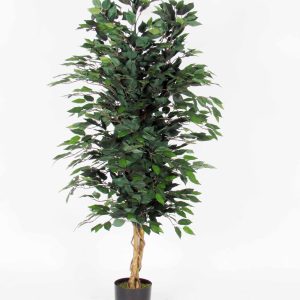 Ficus Artificiale Low Cost Verde da cm. 125 a cm. 200 UVR