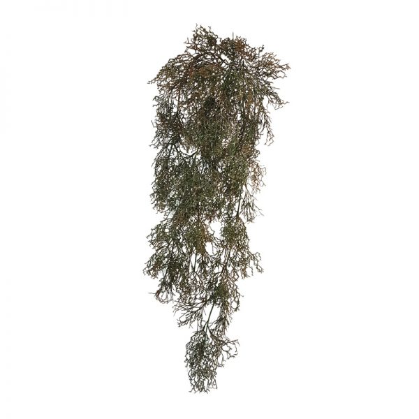 Tillandsia Garland verde scuro