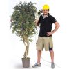 Acero Artificiale Verde Tronco Mediterraneo - In Varie Altezze -