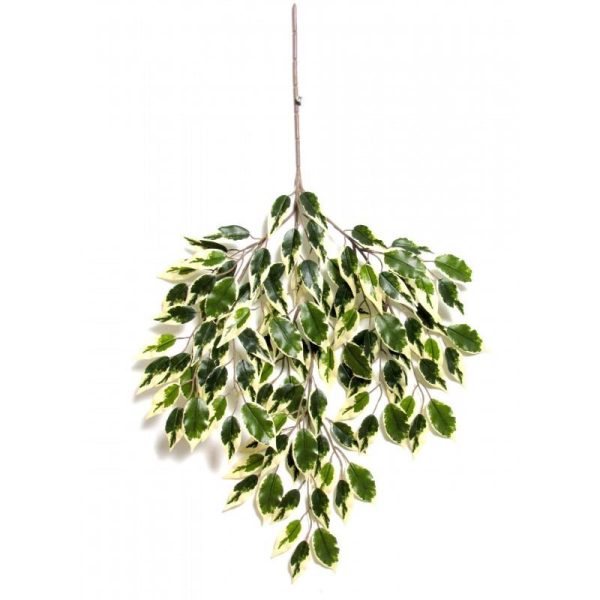 Ramo Ficus Artificiale Hawaiian Variegato, ramo con 106 foglie