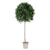 Alloro Artificiale Ball con Tronco Naturale - Disponibile in diversi diametri e altezze.