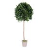 Alloro Artificiale Ball con Tronco Naturale - Disponibile in diversi diametri e altezze. - immagine 3