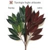 Capensia Artificiale Tronco Mediterraneo - In varie altezze - immagine 4