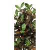 Croton Artificiale Foglia Multicolor - in varie Altezze da cm. 100 a cm. 300 - immagine 3