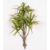 Dracena Artificiale Variegata (Green/Yellow), piantina con 6 rami H.90