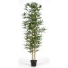 Bambu Artificiale Low Cost h. 200 UV