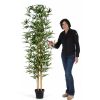 Bambu Artificiale Low Cost h. 200 UV - immagine 2