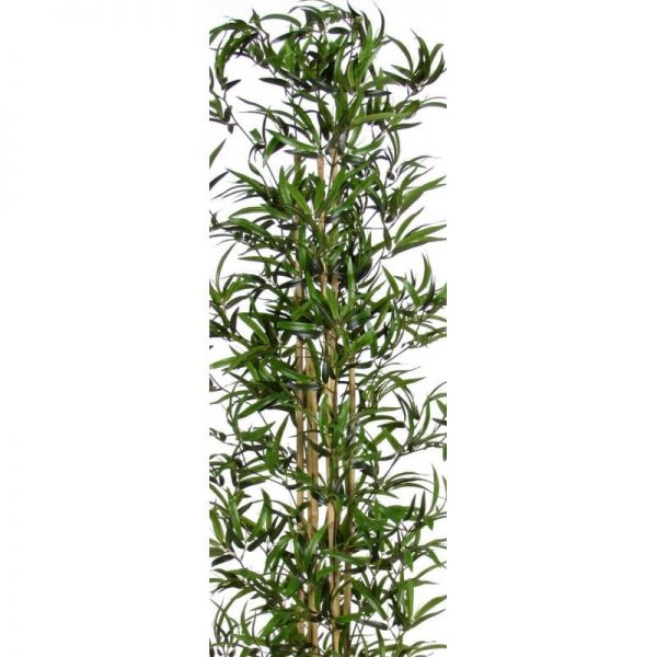 Bambu Artificiale Low Cost h. 200 UV - immagine 3