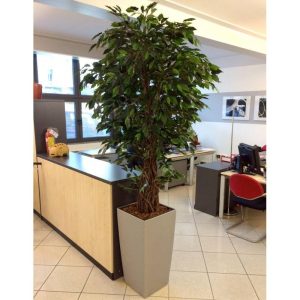 Ficus Artificiale Verde, tronco Big Liana h. 195 cm.