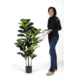 Ficus Artificiale Pandorato h. 140 cm.