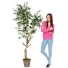 Olivo Artificiale con frutti, new garden - da cm. 150 a cm. 210