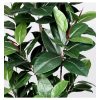 Ficus Artificiale Elastica cm. 150 - immagine 3