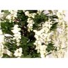 Glicine Artificiale Wisteria - Tronco Medium - da cm. 100 a cm. 300 - Fiori Bianchi - immagine 3