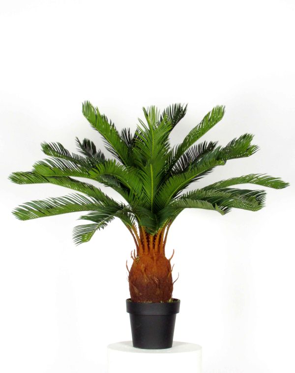 Cycas Artificiale Large - Diametro 105cm - H 90 cm UVR - immagine 6